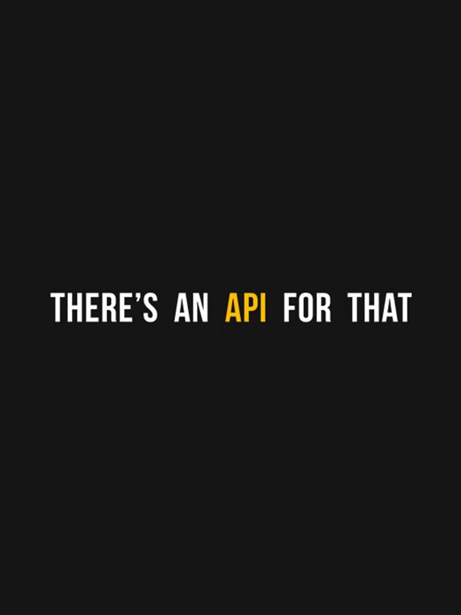 API For That- Black Round Neck Coding T-shirt